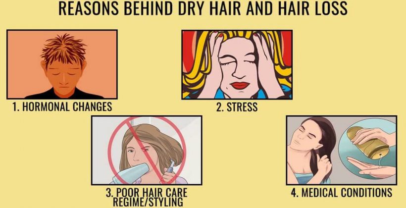 Reasons Behind Dry Hair and Hair Loss