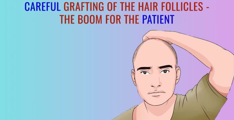 Careful Grafting of the Hair Follicles The boom for the patient