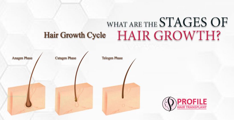 What Are The Stages Of Hair Growth?