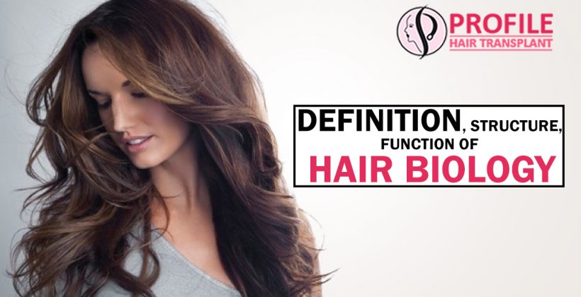 Definition, Structure, Function of Hair Biology