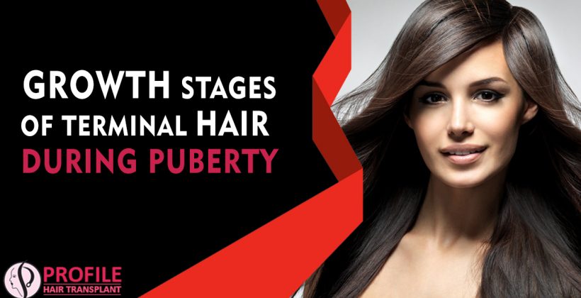 Growth Stages of Terminal Hair During Puberty