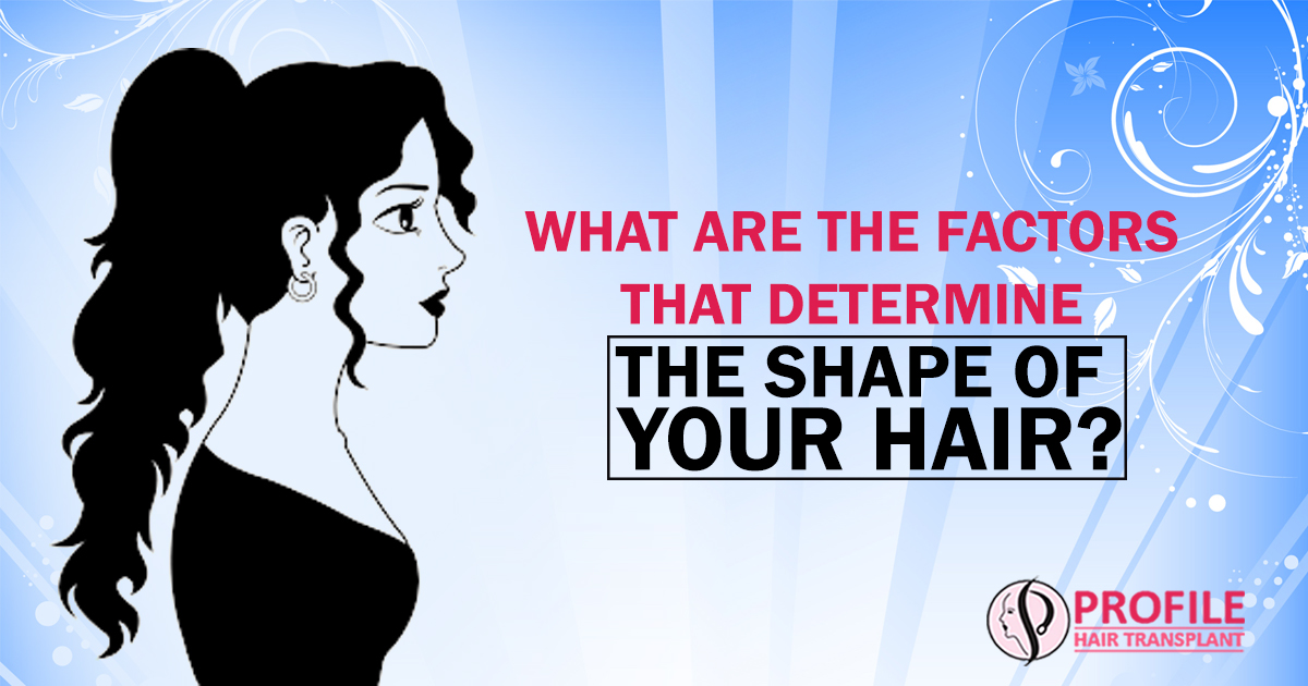 What Are The Factors That Determine The Shape Of Your Hair?